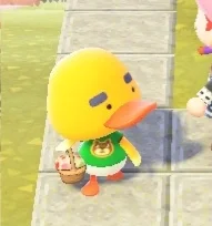 为什么越是高知的群体越会喜欢李察