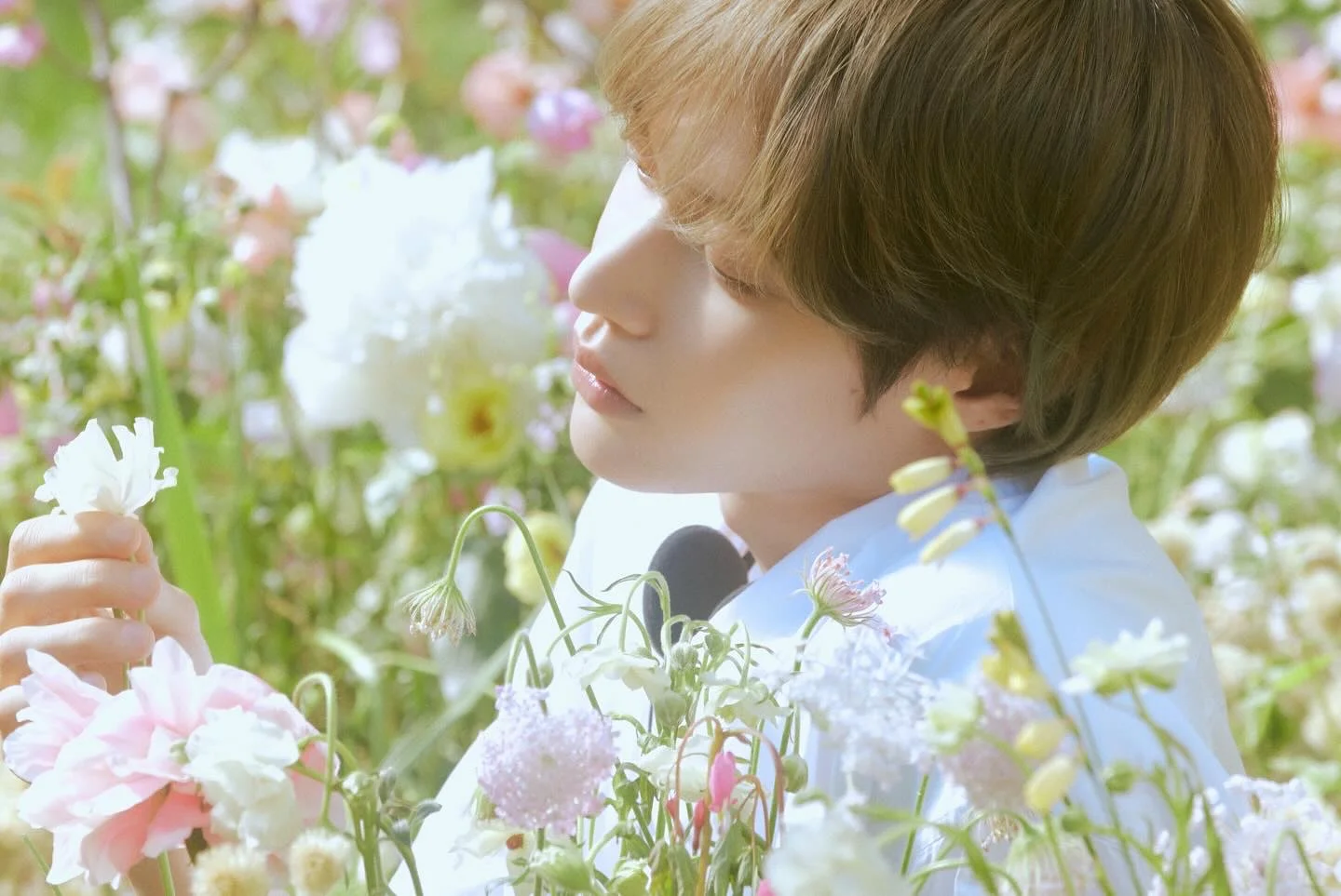 美得人神共愤…