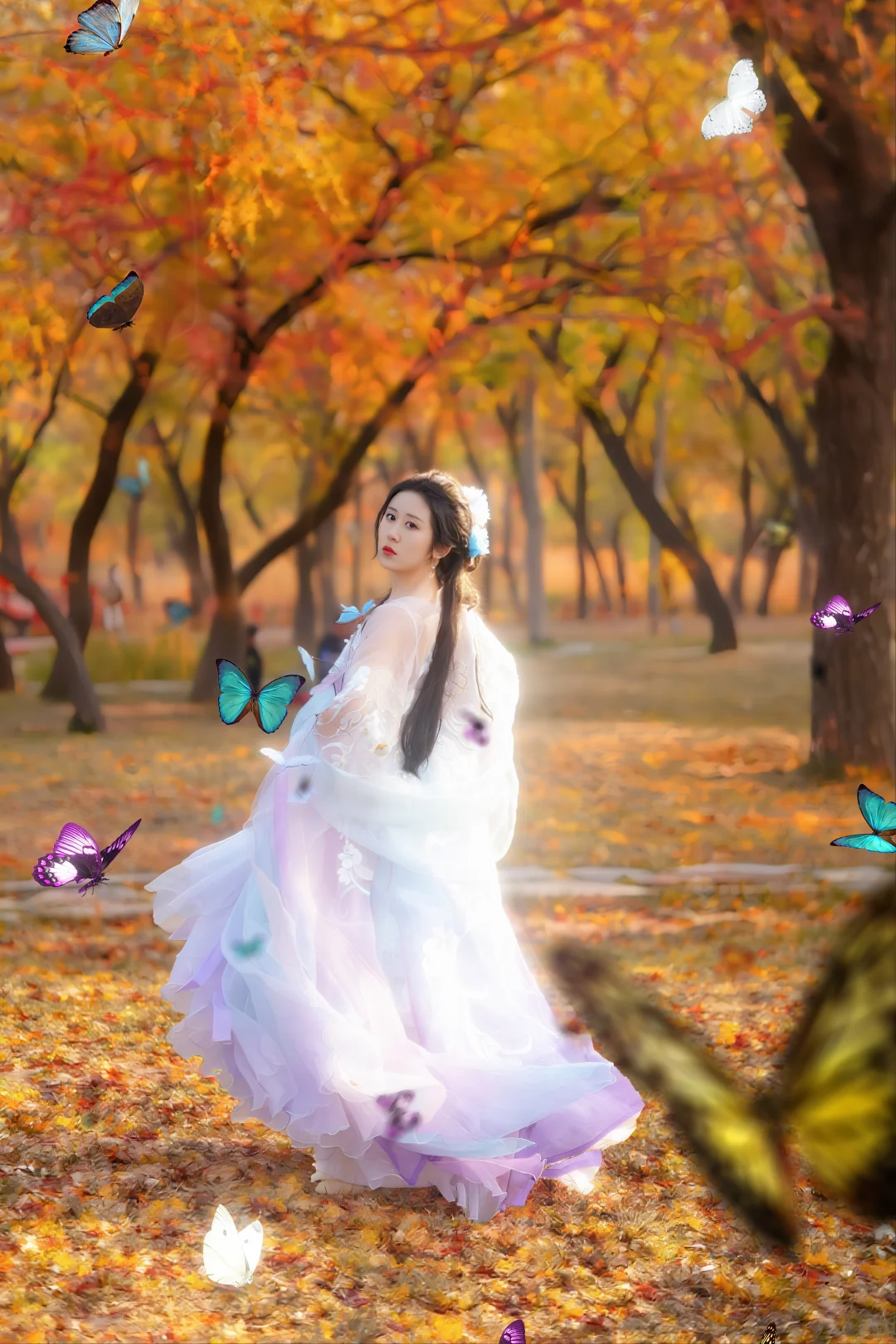 落叶在秋意来的那刻成精了！