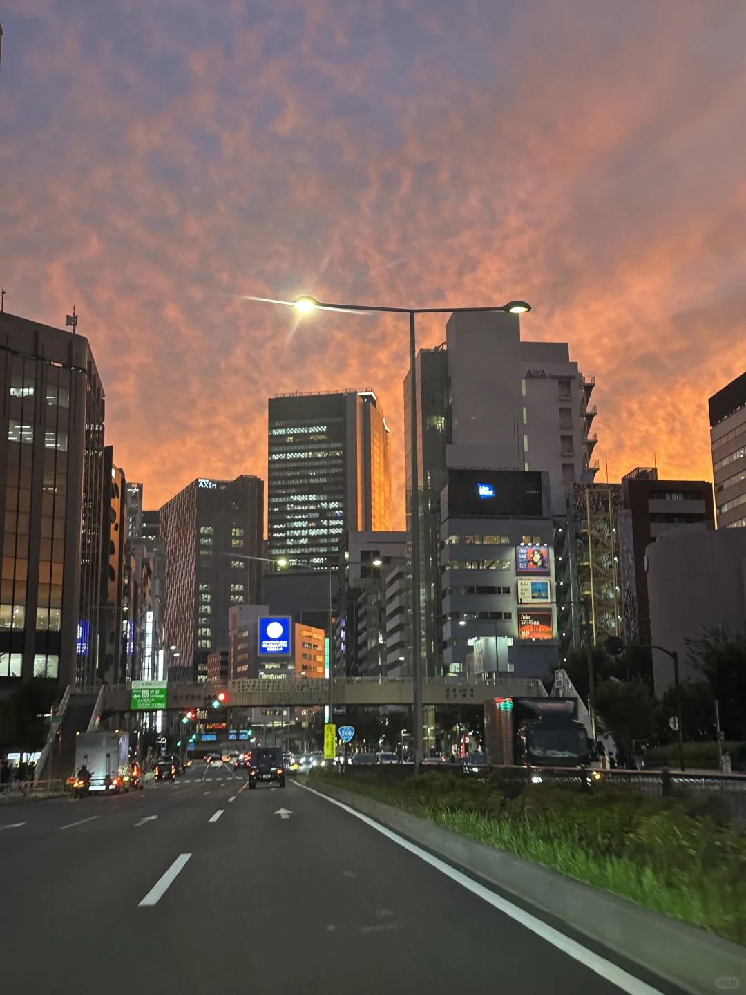 谁敢想,43岁的我在东京做了日杂模特