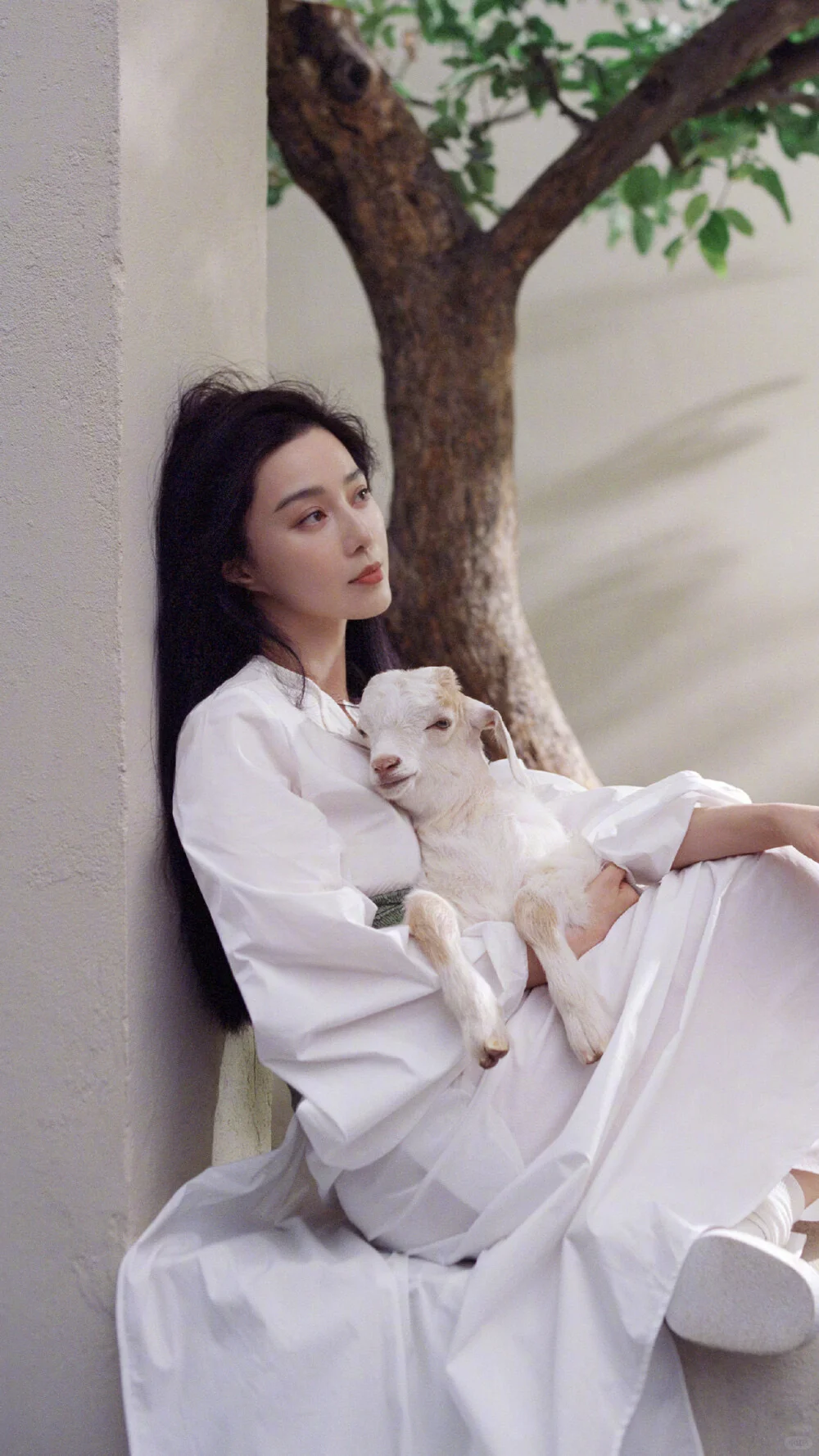 美貌显化第175天