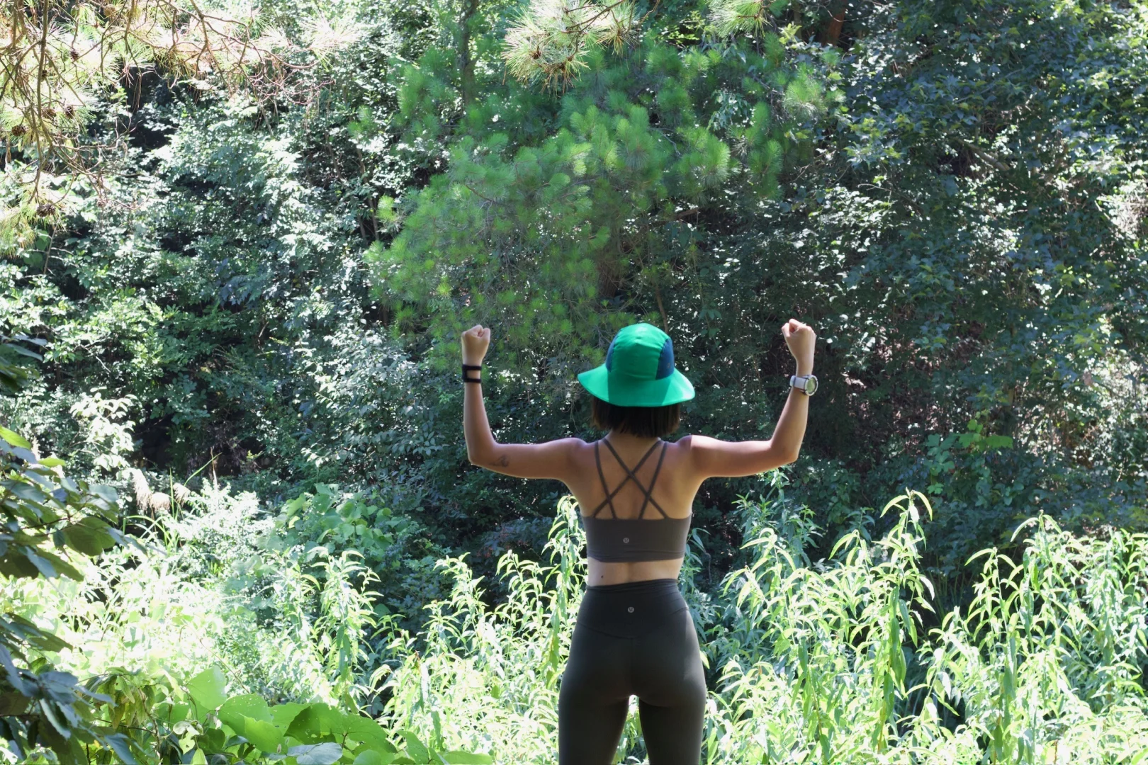 阳光 树林 鸟鸣 能量女孩