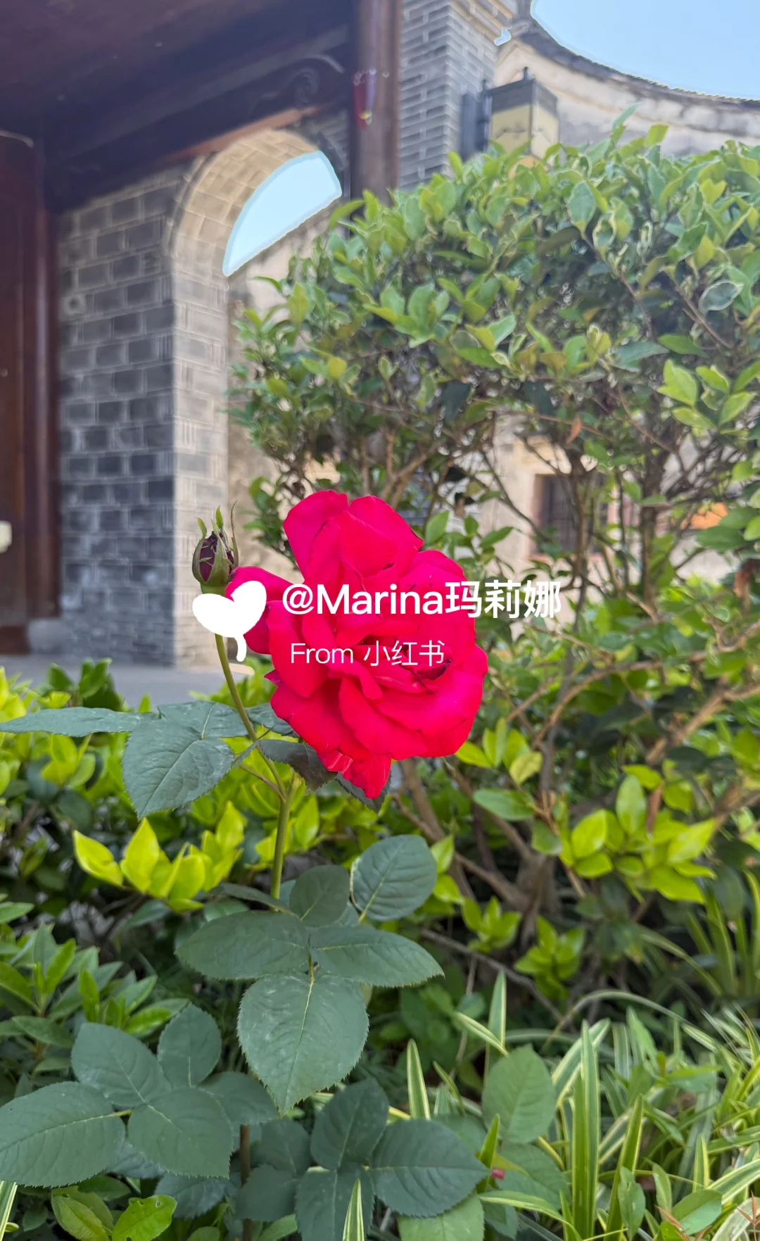 户外氧气女孩｜山野的绿意🍃大自然