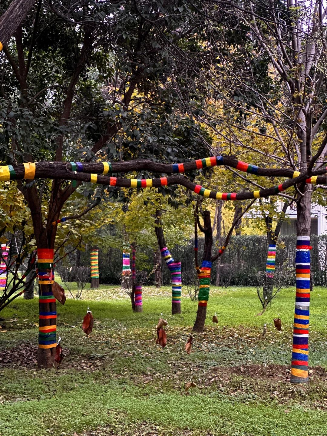 140斤｜微胖女孩的ootd