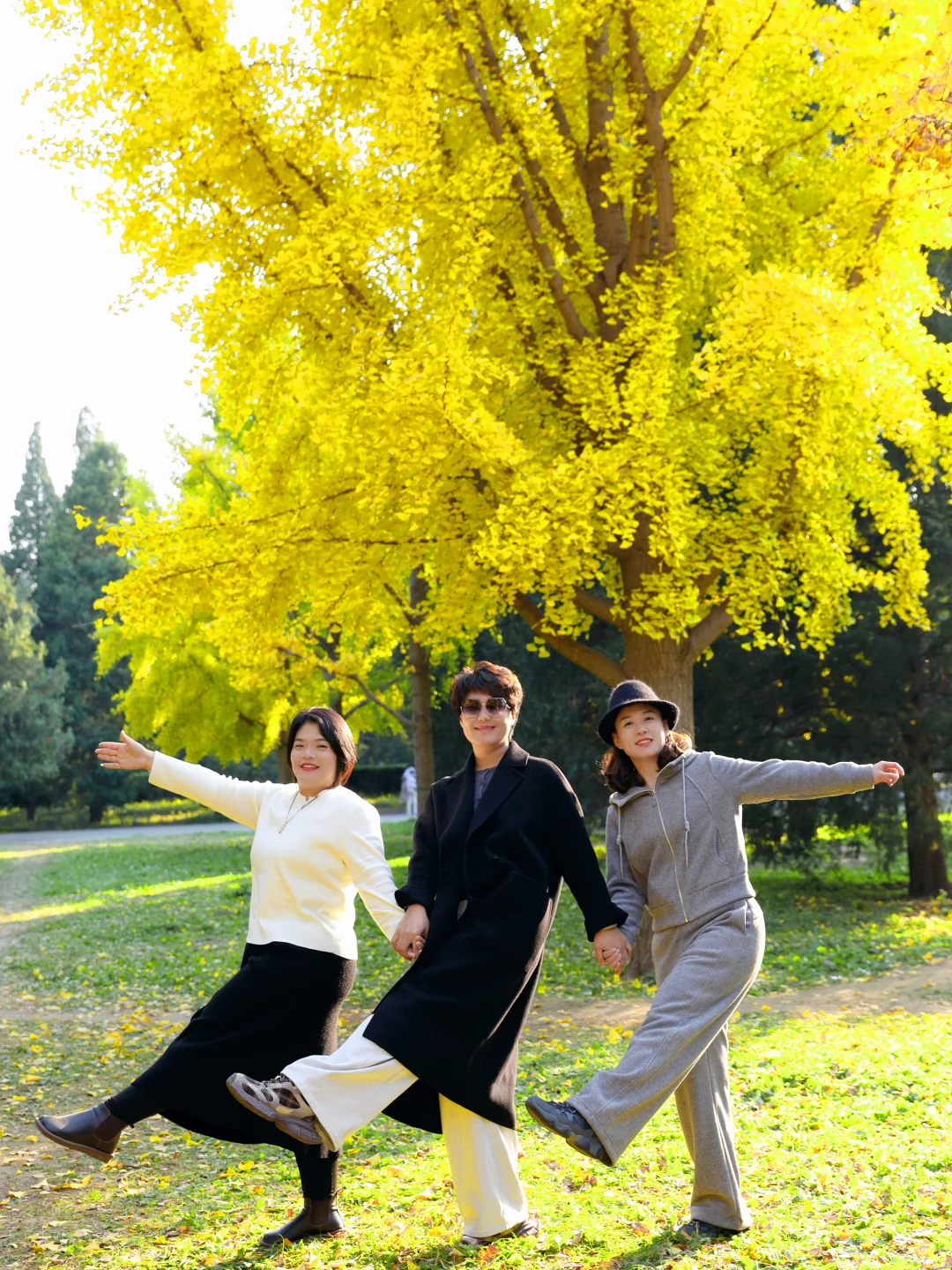 北京女摄🉑跟拍｜和闺蜜一起拍秋天的银杏叶