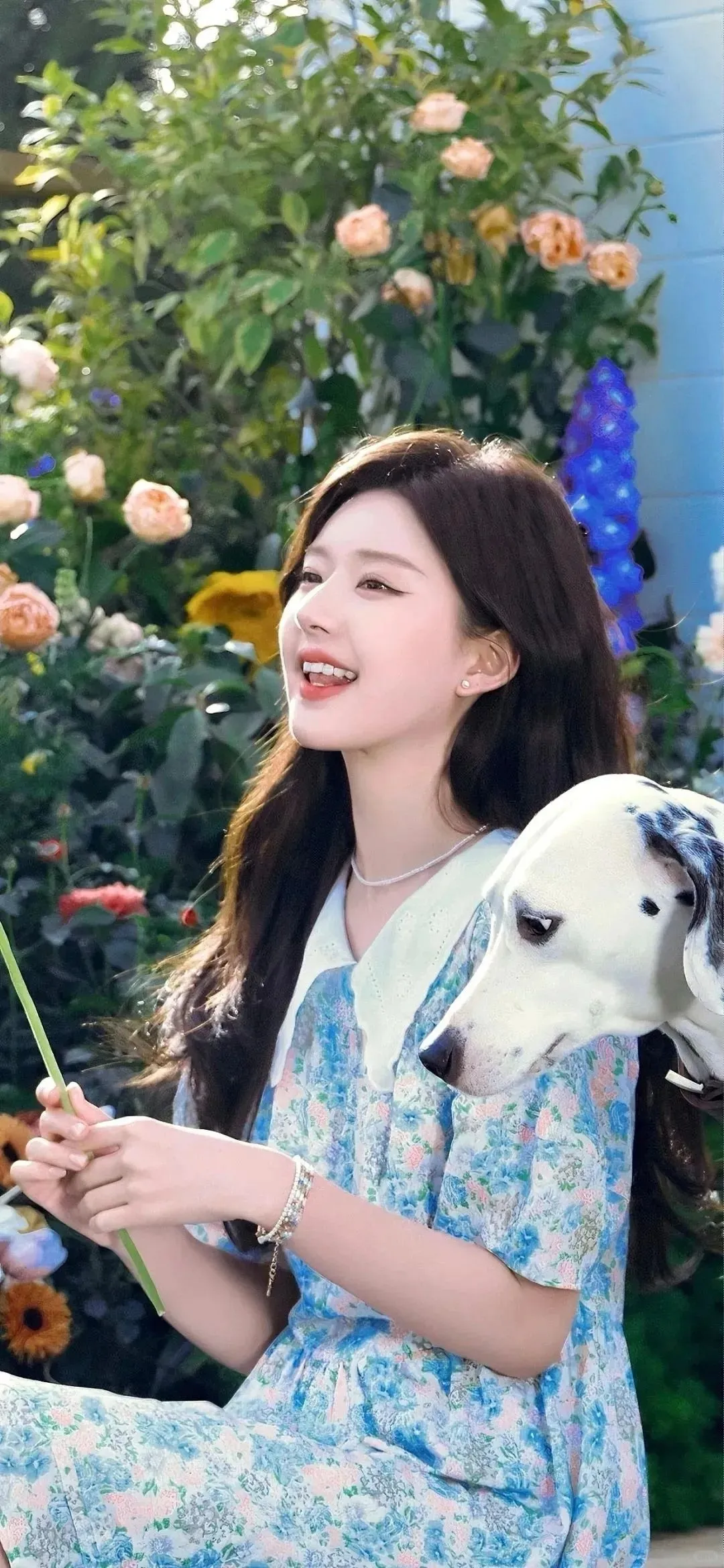 𝑺𝒉𝒂𝒓𝒆｜露思全屏壁纸