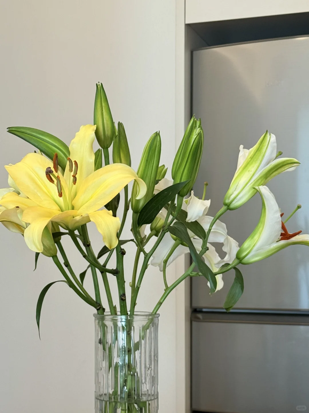 🤍🩱🏊🏻‍♀️