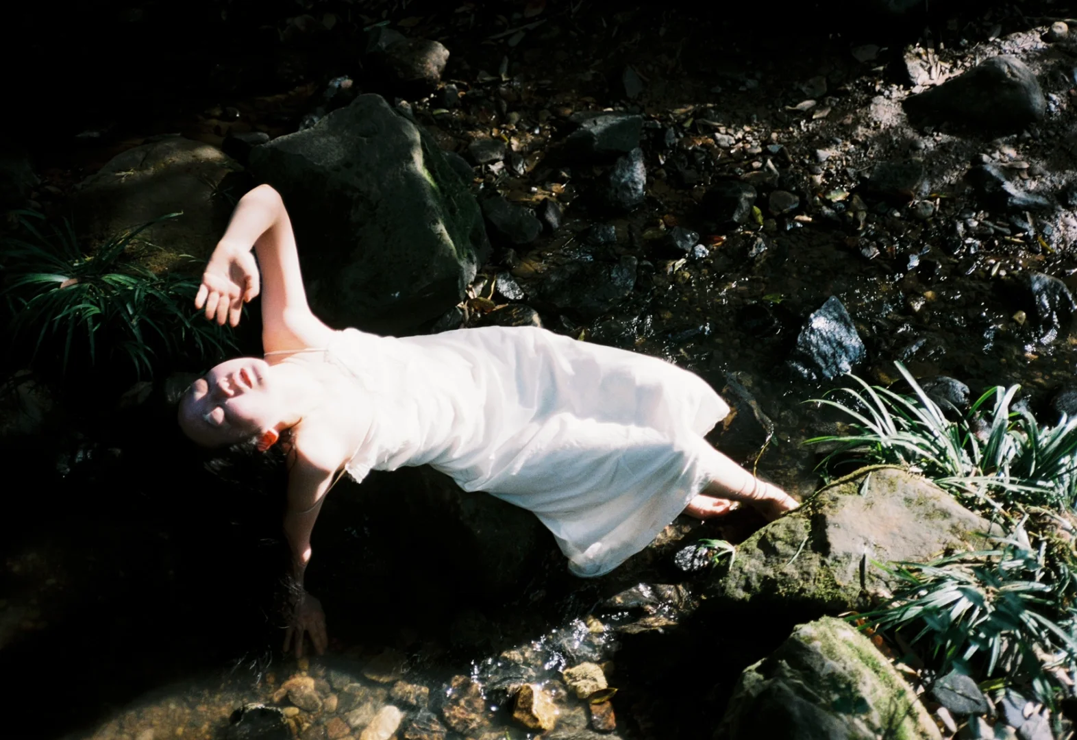 生命力 自然 放肆