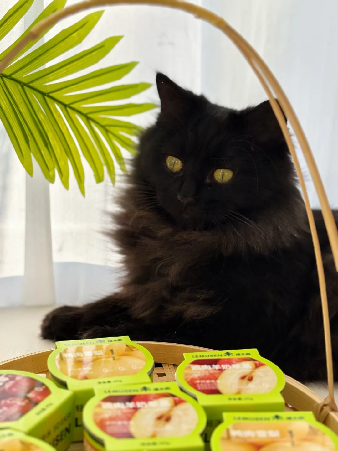 Cat’s | 小猫の秋冬补水餐