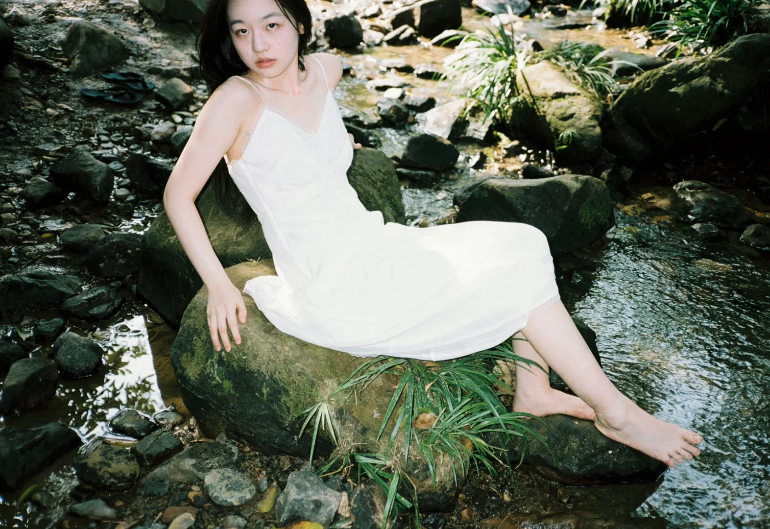 生命力 自然 放肆