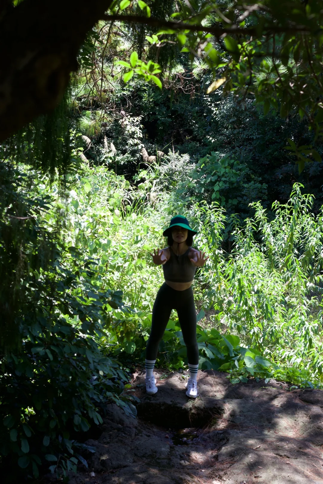 阳光 树林 鸟鸣 能量女孩