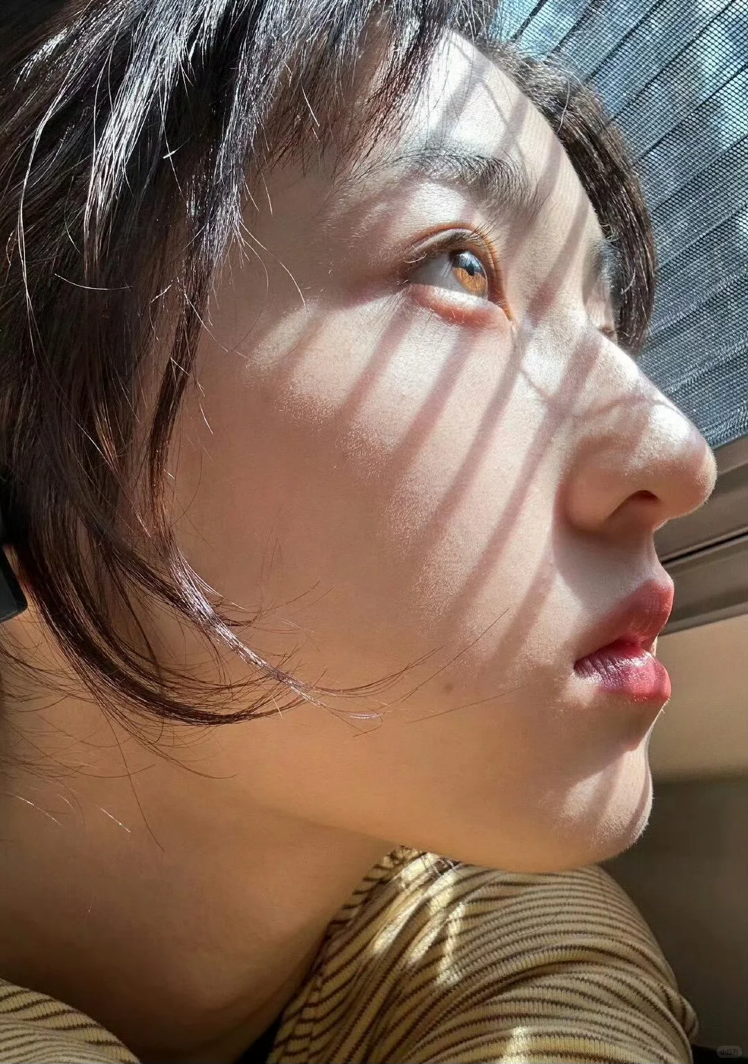 审美积累｜day141｜张子枫