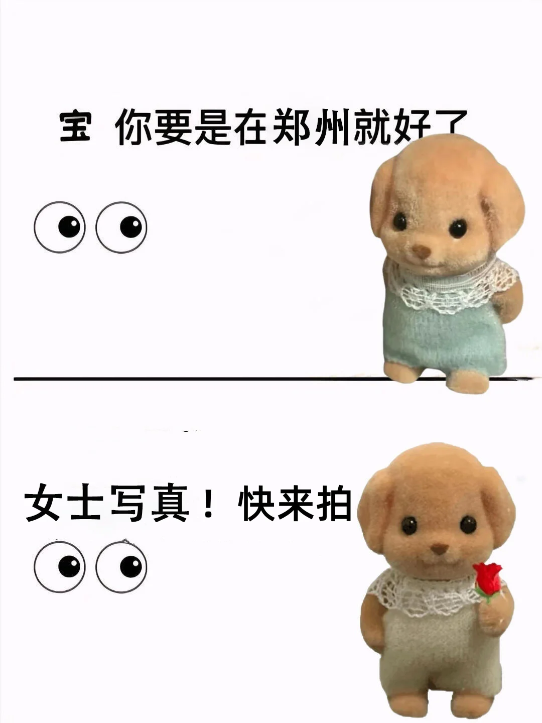 宝你要是在郑州就好了❗女士写真来啦