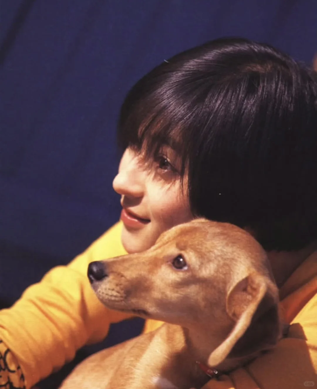 早期的广末凉子还是太权威了☀️