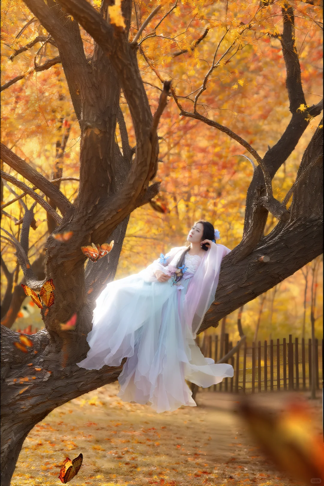 落叶在秋意来的那刻成精了！