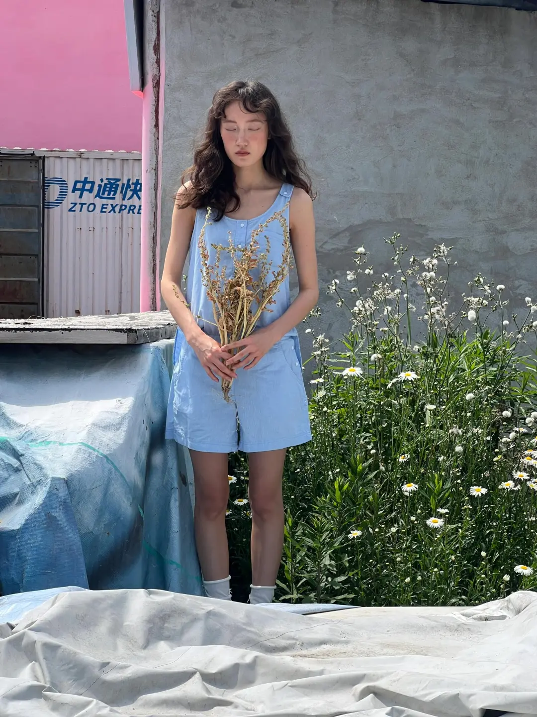 大自然女孩 樱德拉🕊️