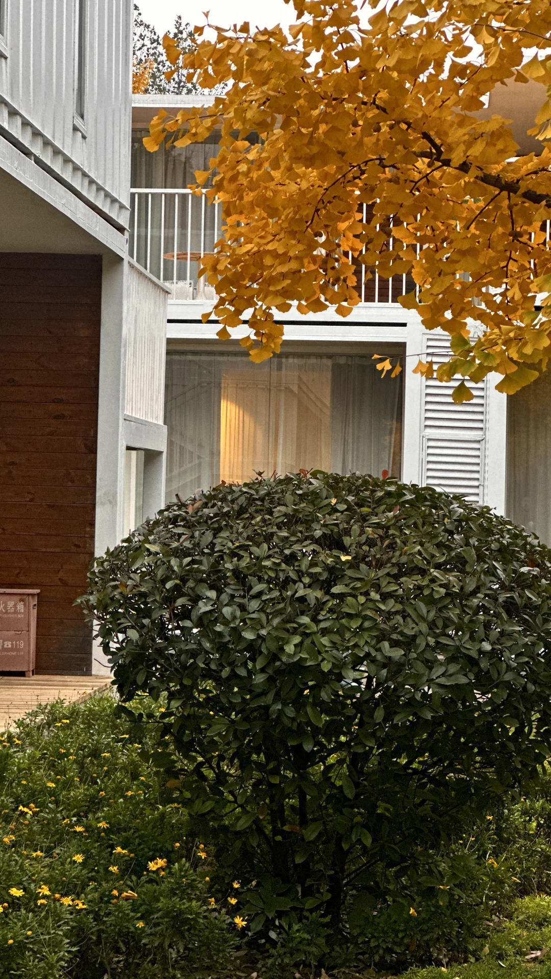 140斤｜微胖女孩的ootd