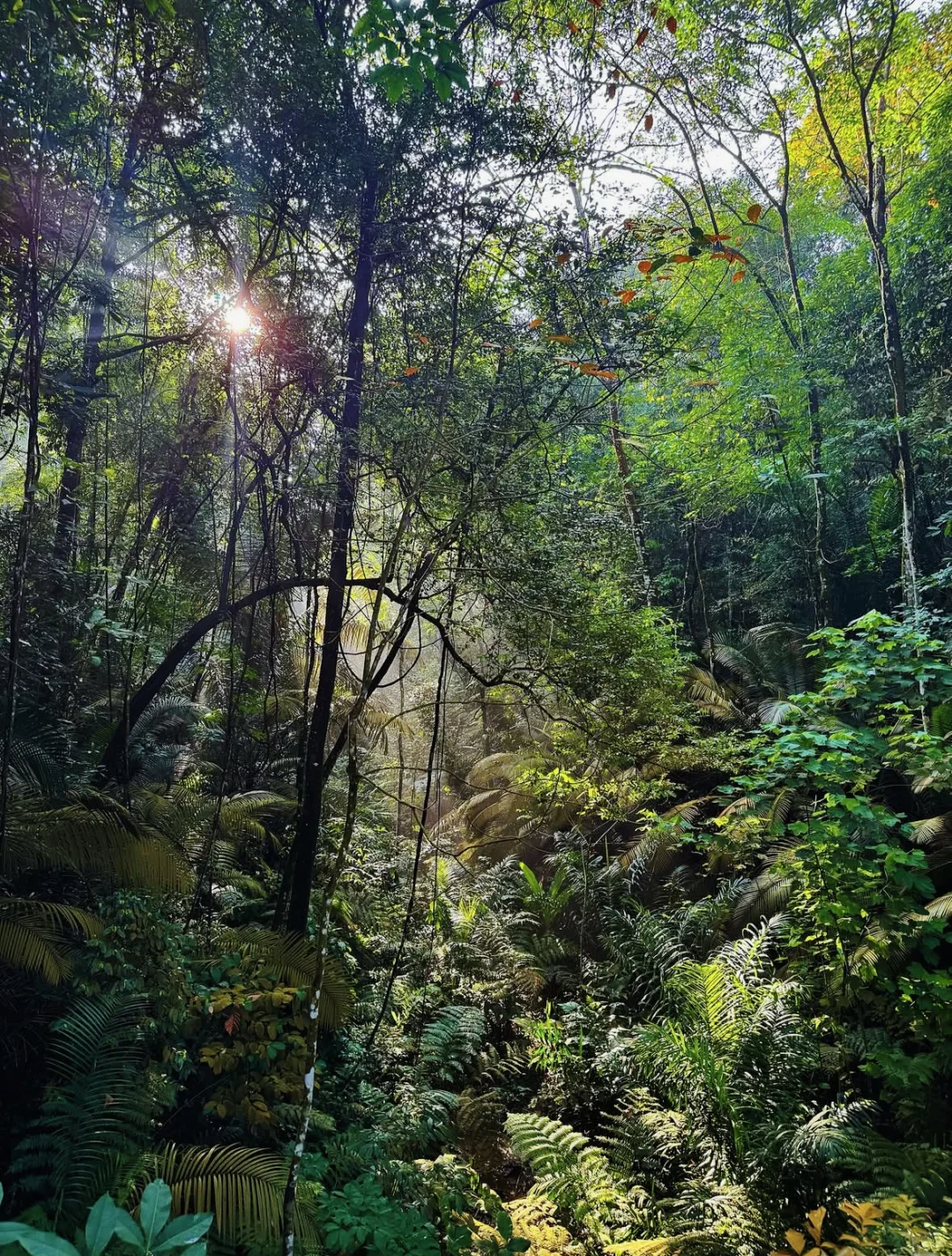 生活有解 户外也撒野🌲