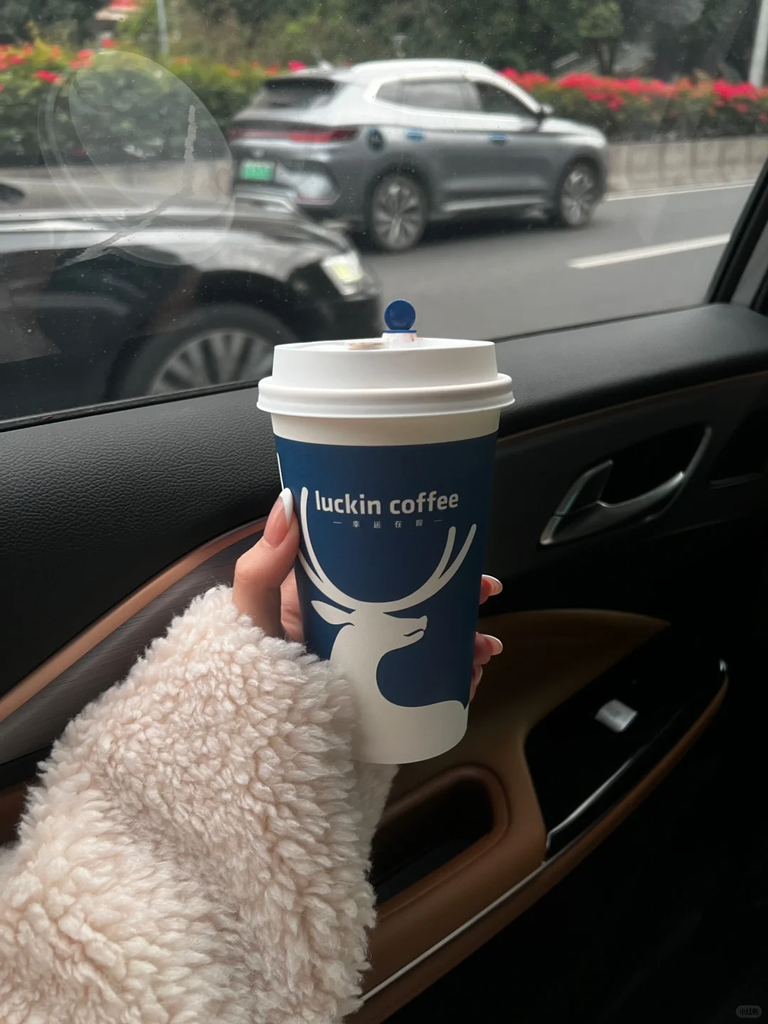 迫不及待想过冬天