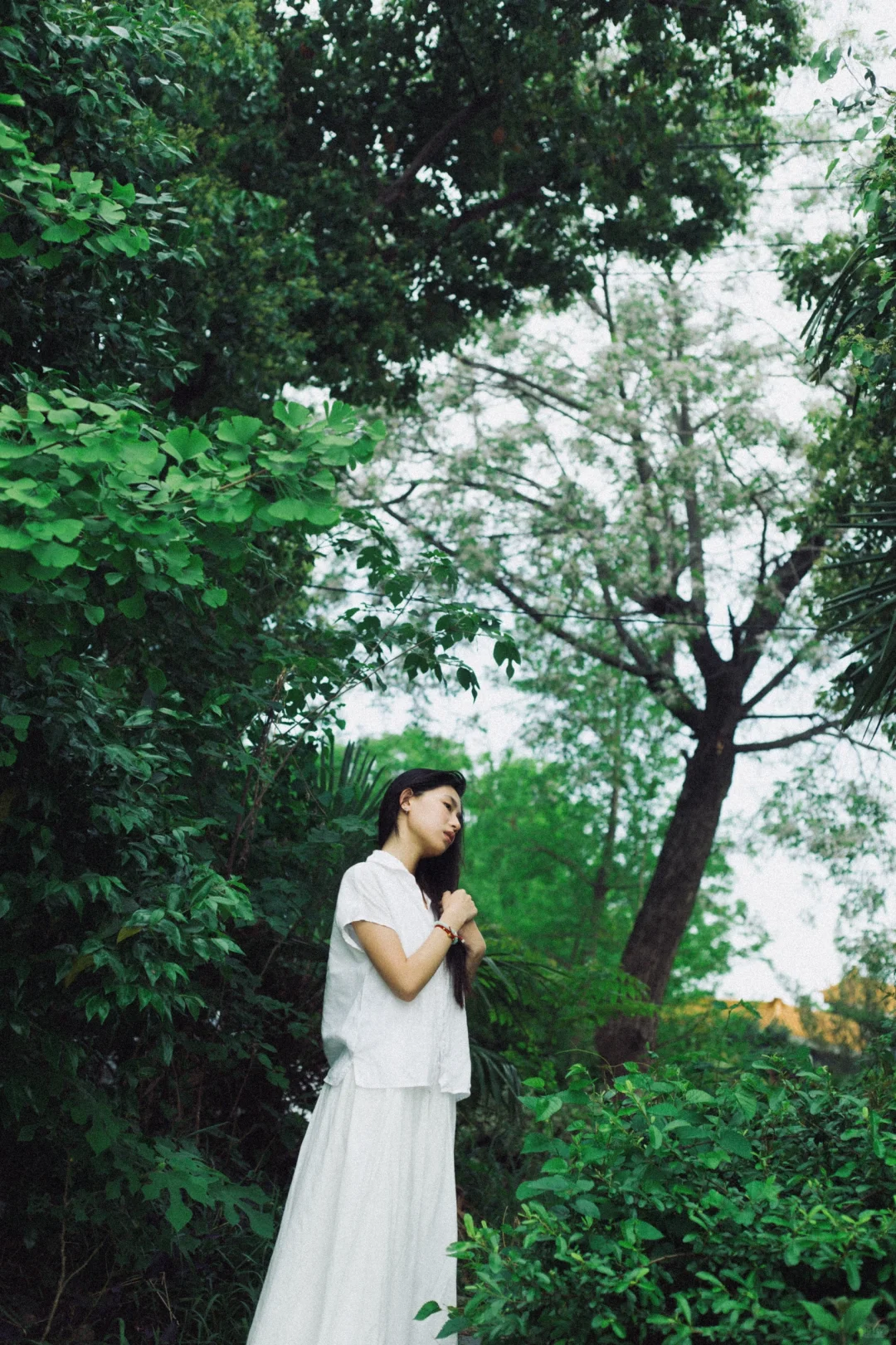 对森系的偏好始终影印在我审美潜意识里