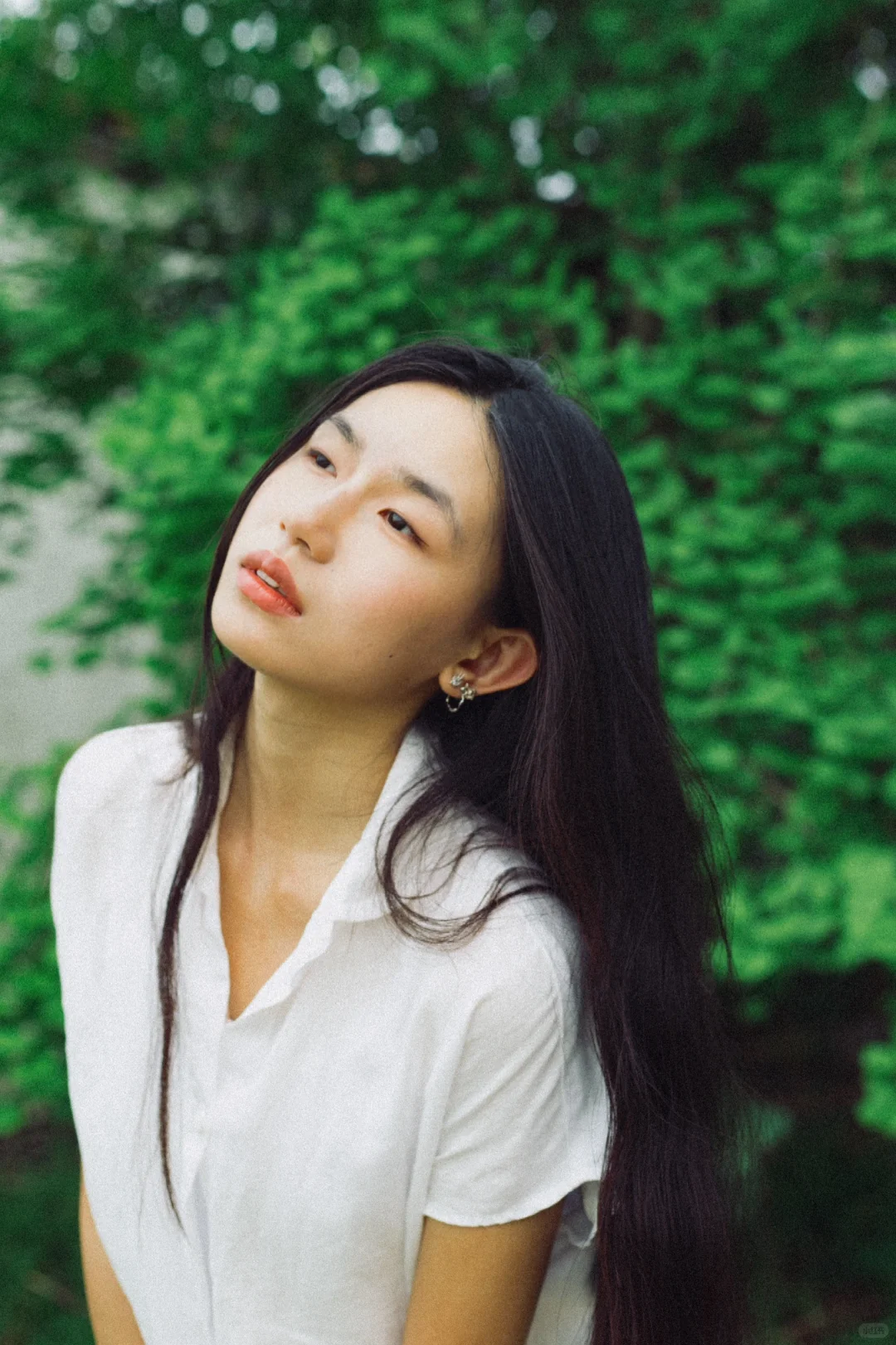 对森系的偏好始终影印在我审美潜意识里