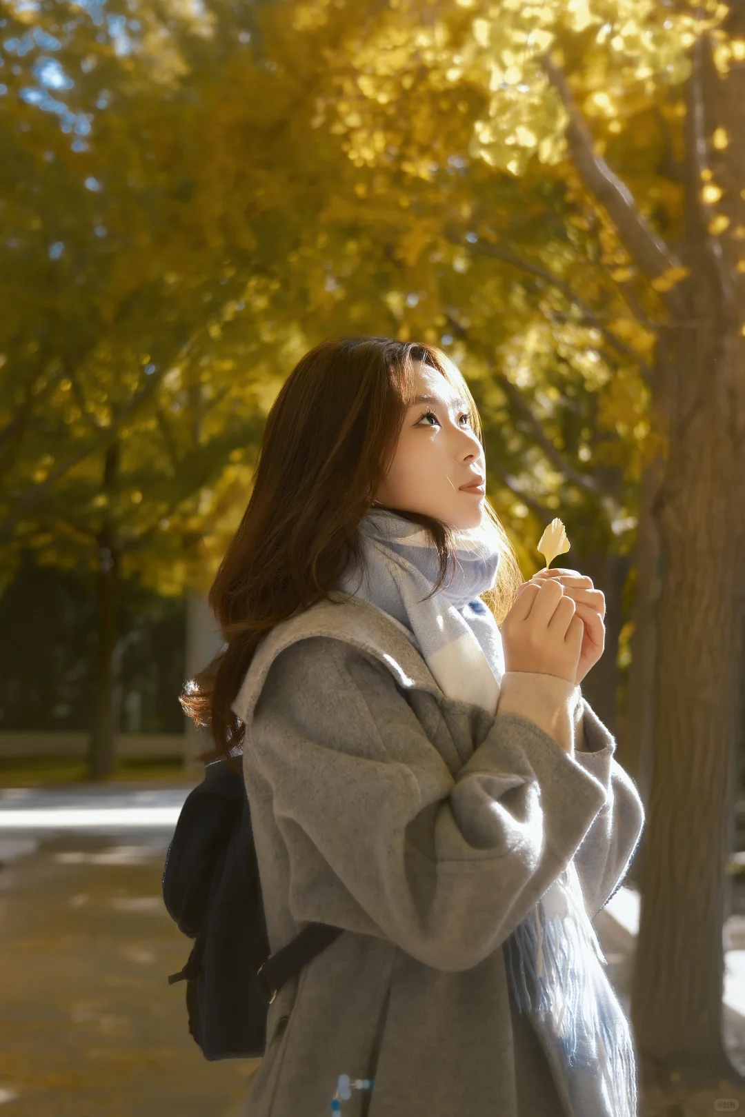 北京地坛银杏｜富士女摄把秋日拍成画🍂