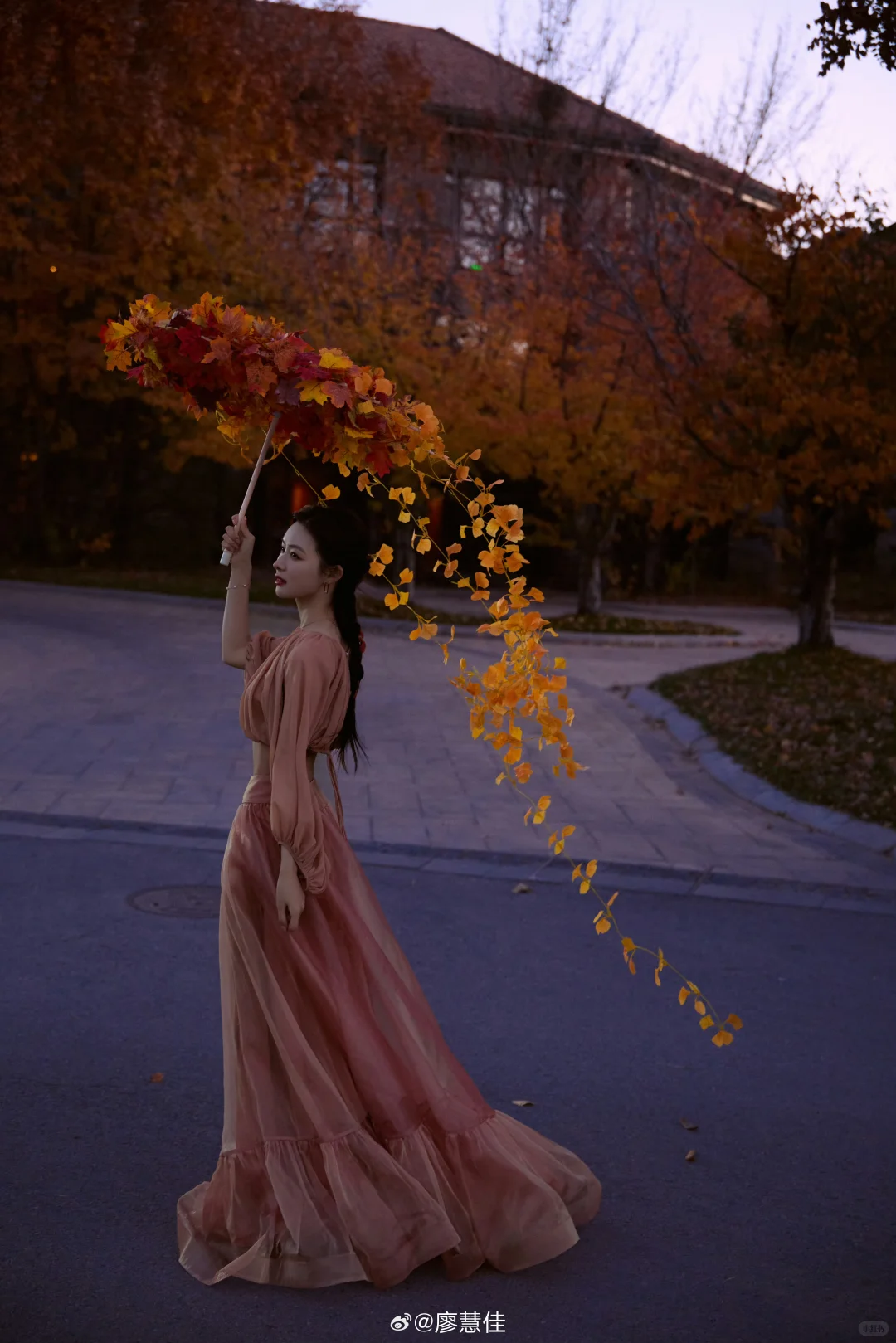 女明星红毯同款系列 | 日落以后的浪漫