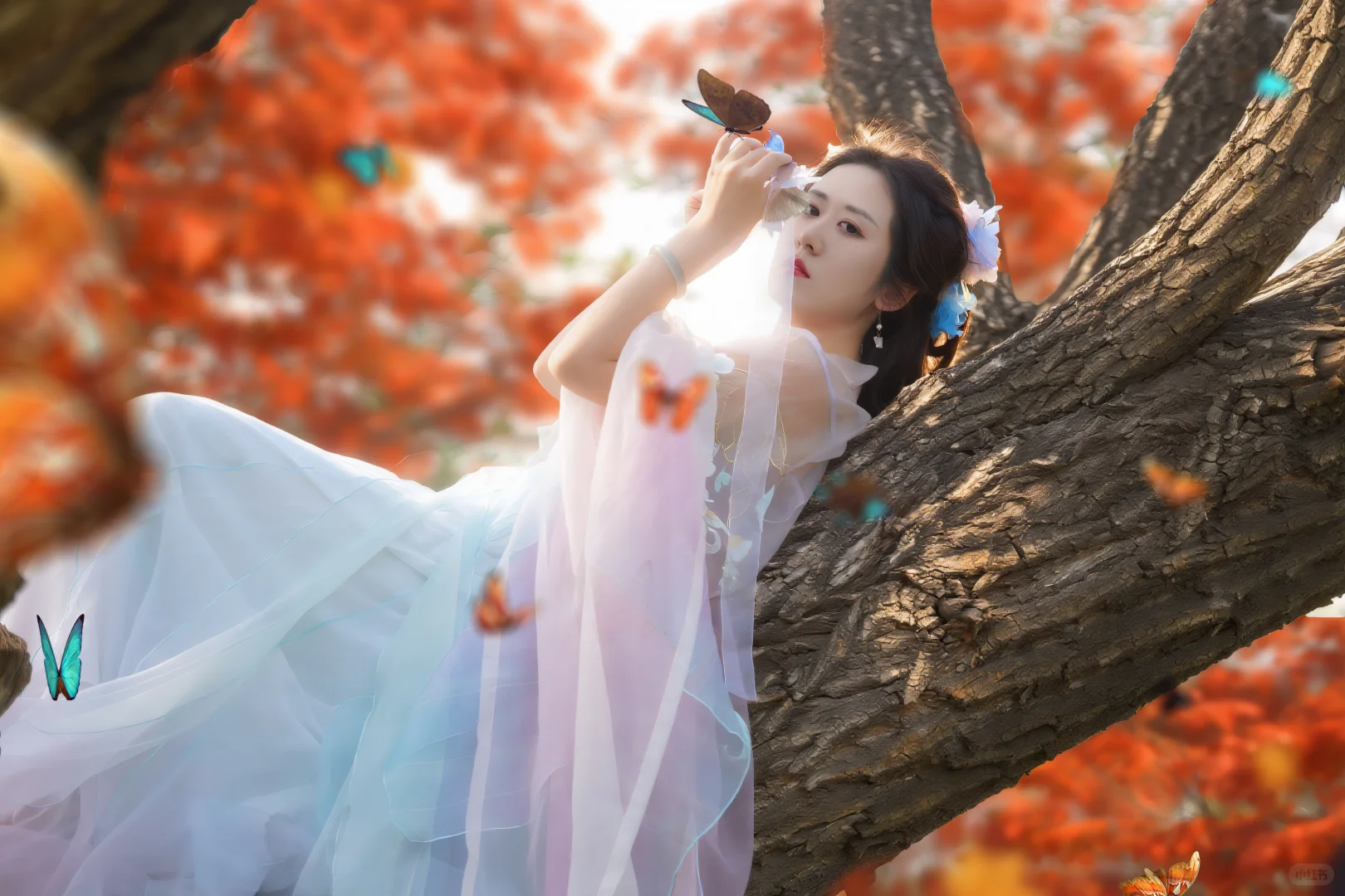 落叶在秋意来的那刻成精了！