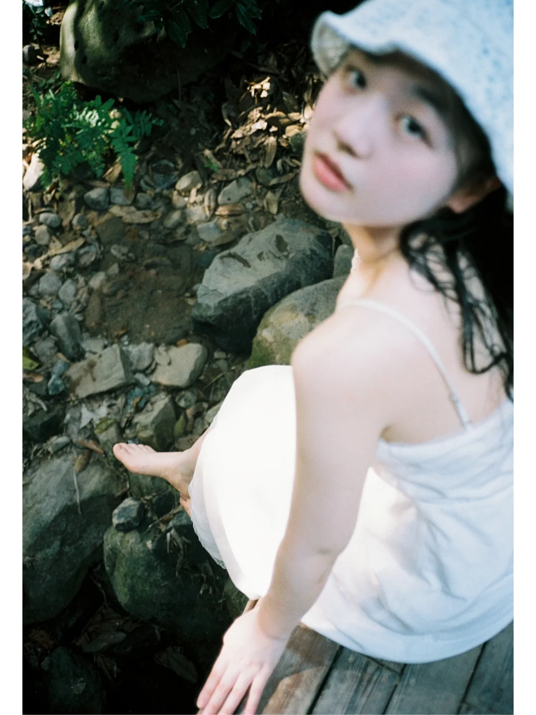 生命力 自然 放肆