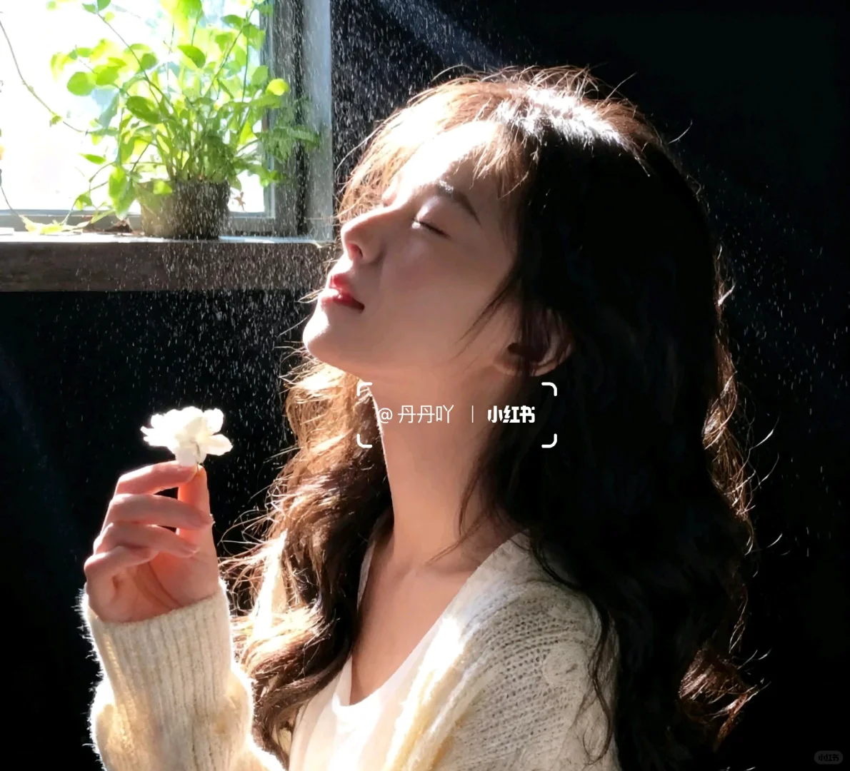 𝗪𝗲𝗖𝗵𝗮𝘁 | 氛围感唯美头像