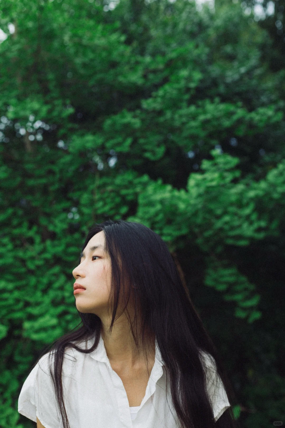 对森系的偏好始终影印在我审美潜意识里