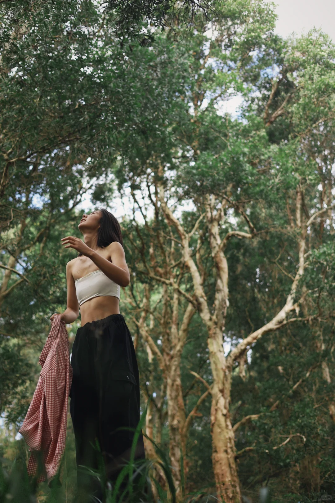 喷薄而出的生命力