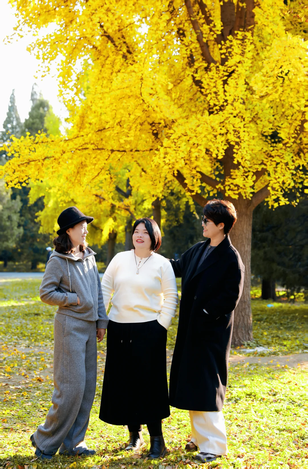 北京女摄🉑跟拍｜和闺蜜一起拍秋天的银杏叶