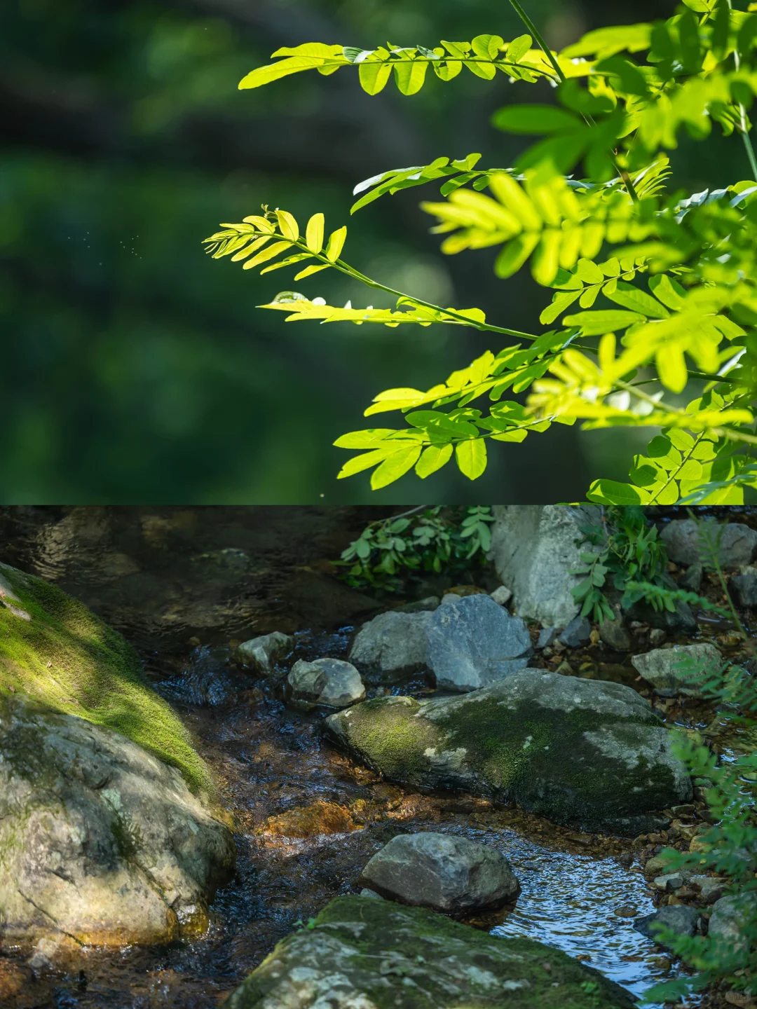 人生建议，多去感受大自然的生命力