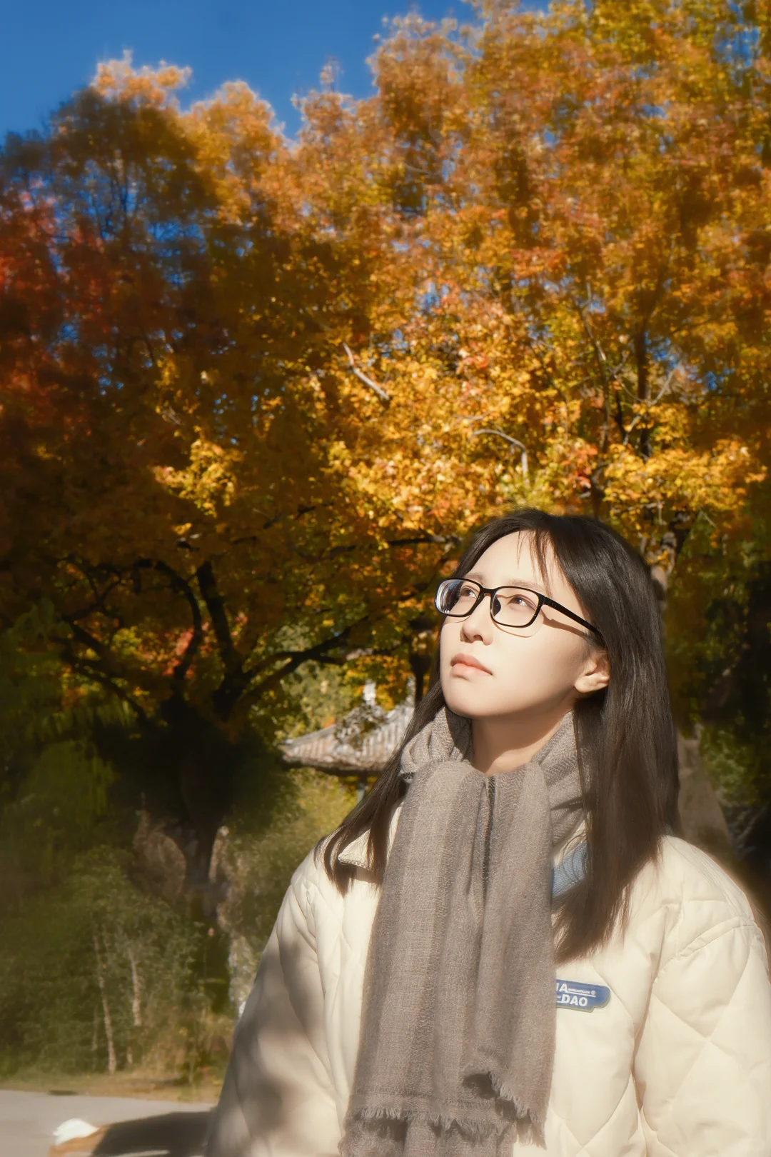 北京地坛银杏｜富士女摄把秋日拍成画🍂