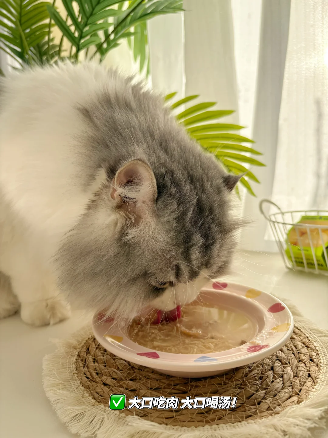 Cat’s | 小猫の秋冬补水餐