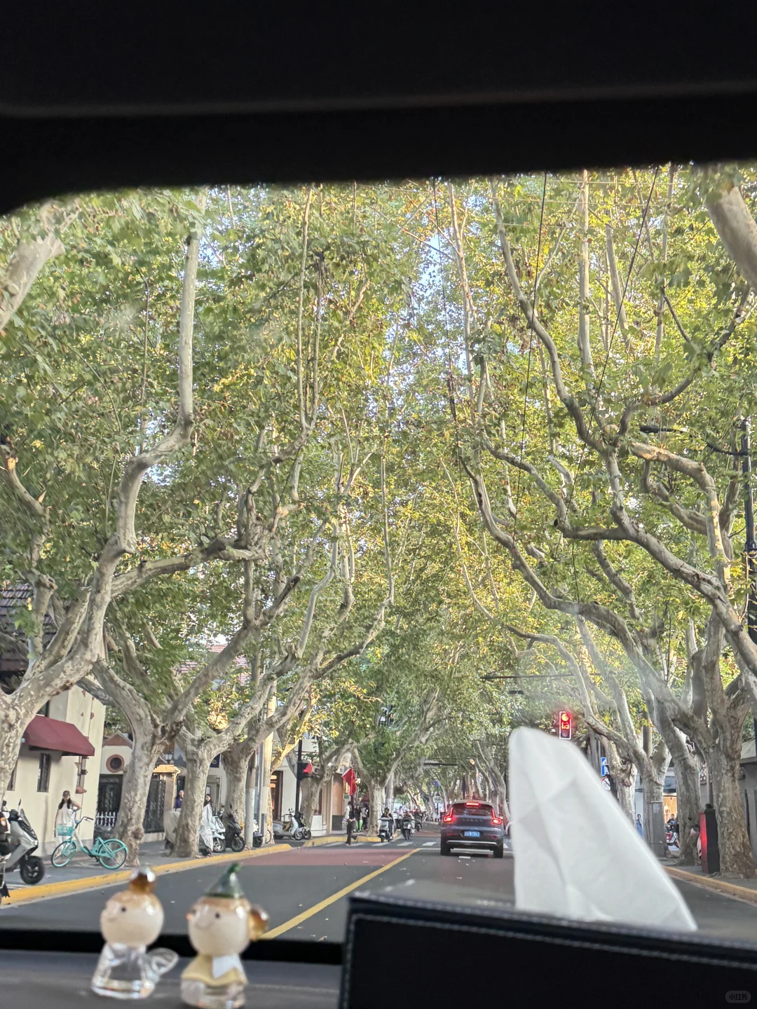 🤍🩱🏊🏻‍♀️