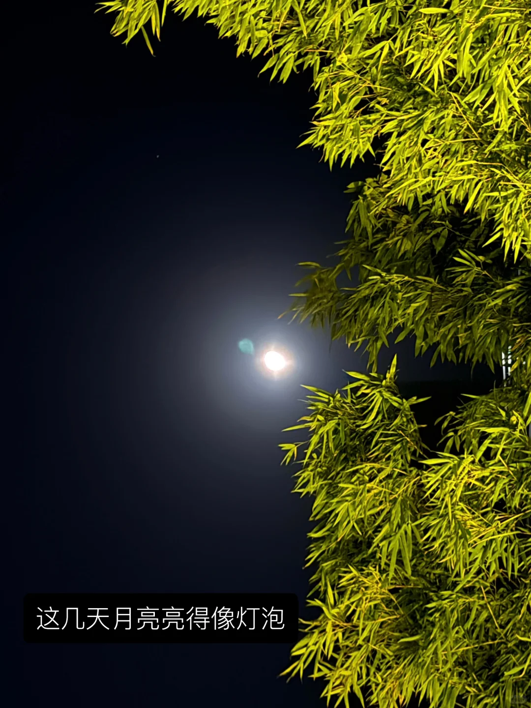 🤍🩱🏊🏻‍♀️