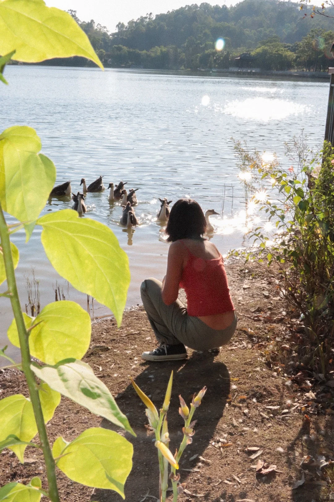 生命影像｜“可能我是大自然的孩子”