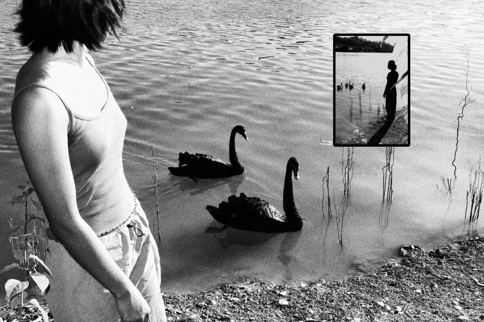 生命影像｜“可能我是大自然的孩子”