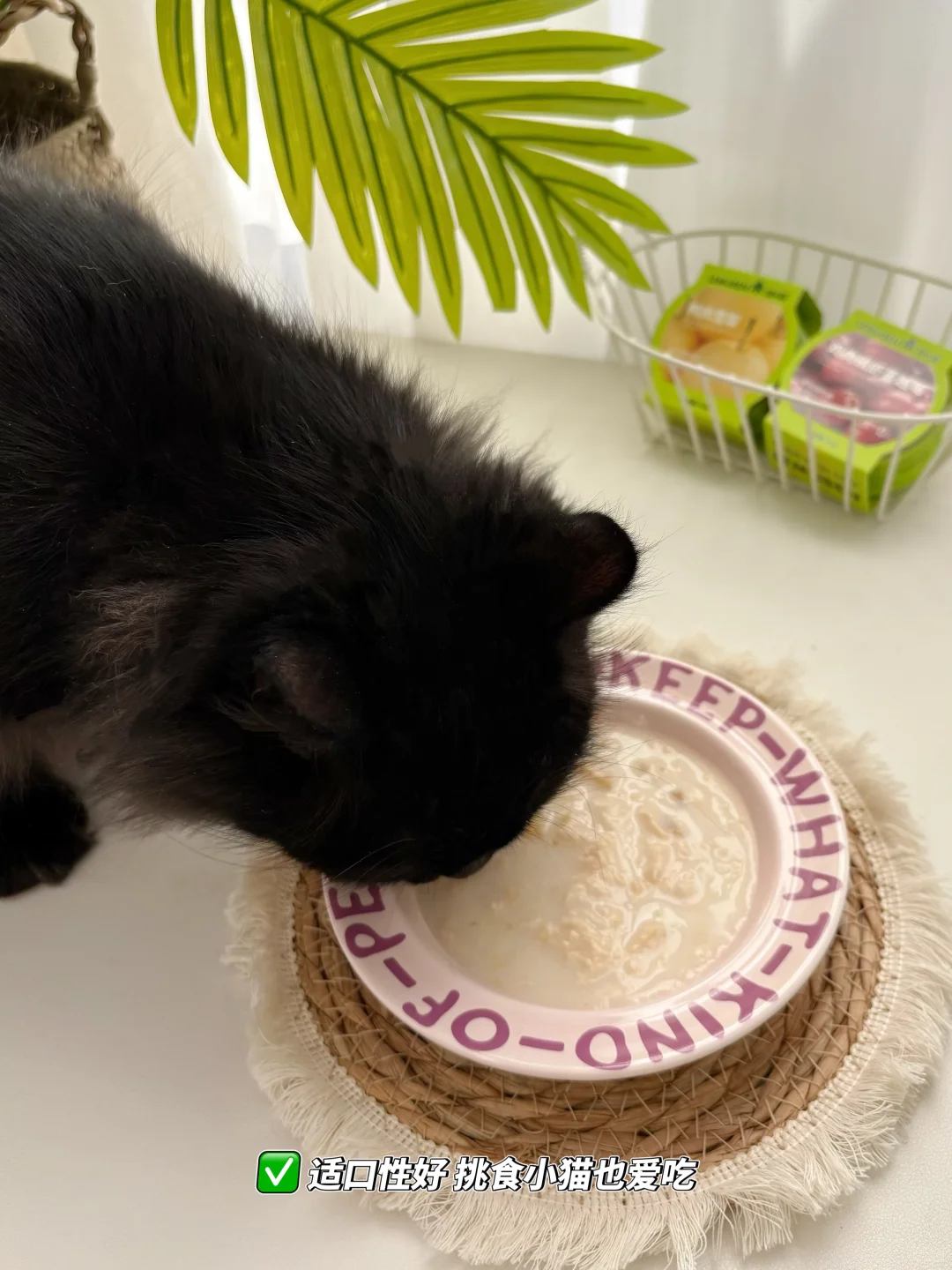 Cat’s | 小猫の秋冬补水餐