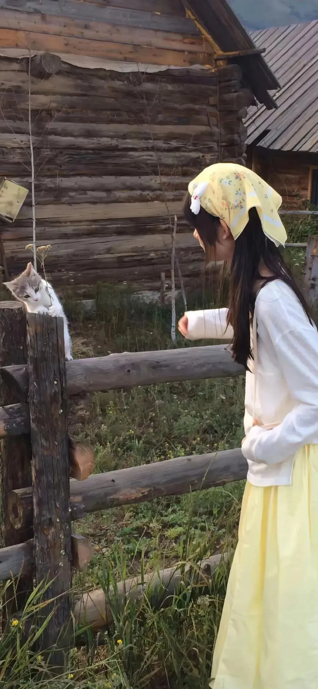 不得不换的美女壁纸