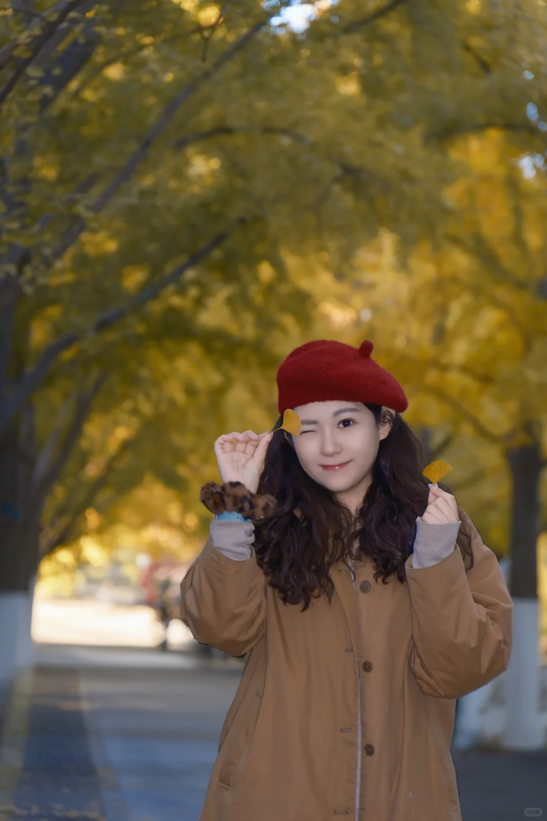 北京地坛银杏｜富士女摄把秋日拍成画🍂