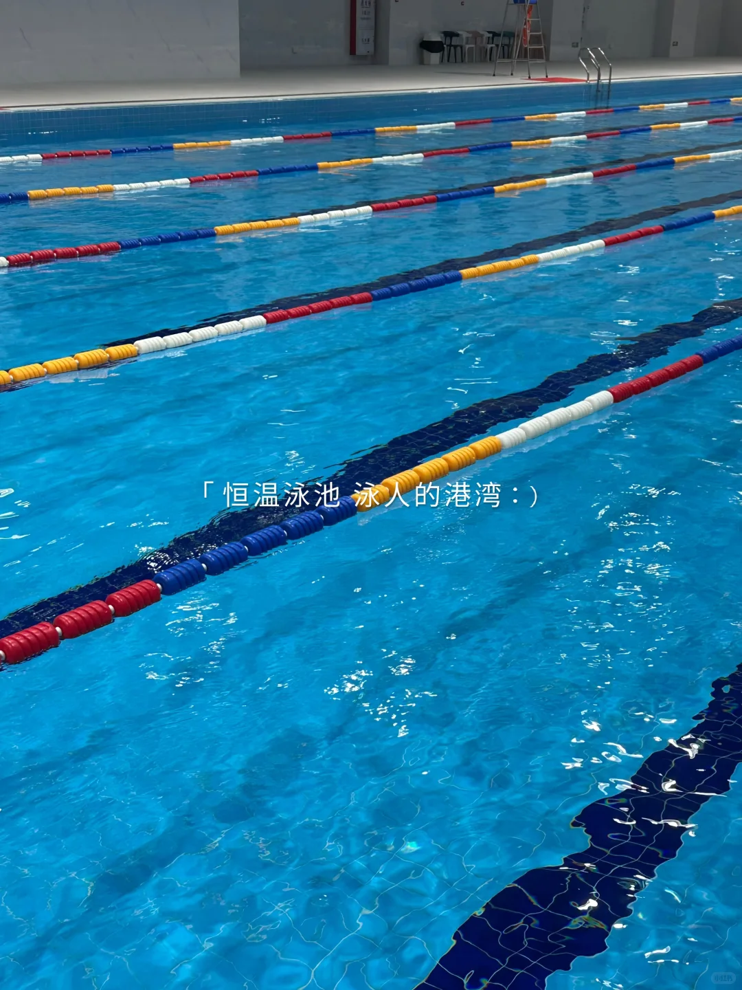 水池里面银龙鱼…而我是美人鱼🧜🏻‍♀️