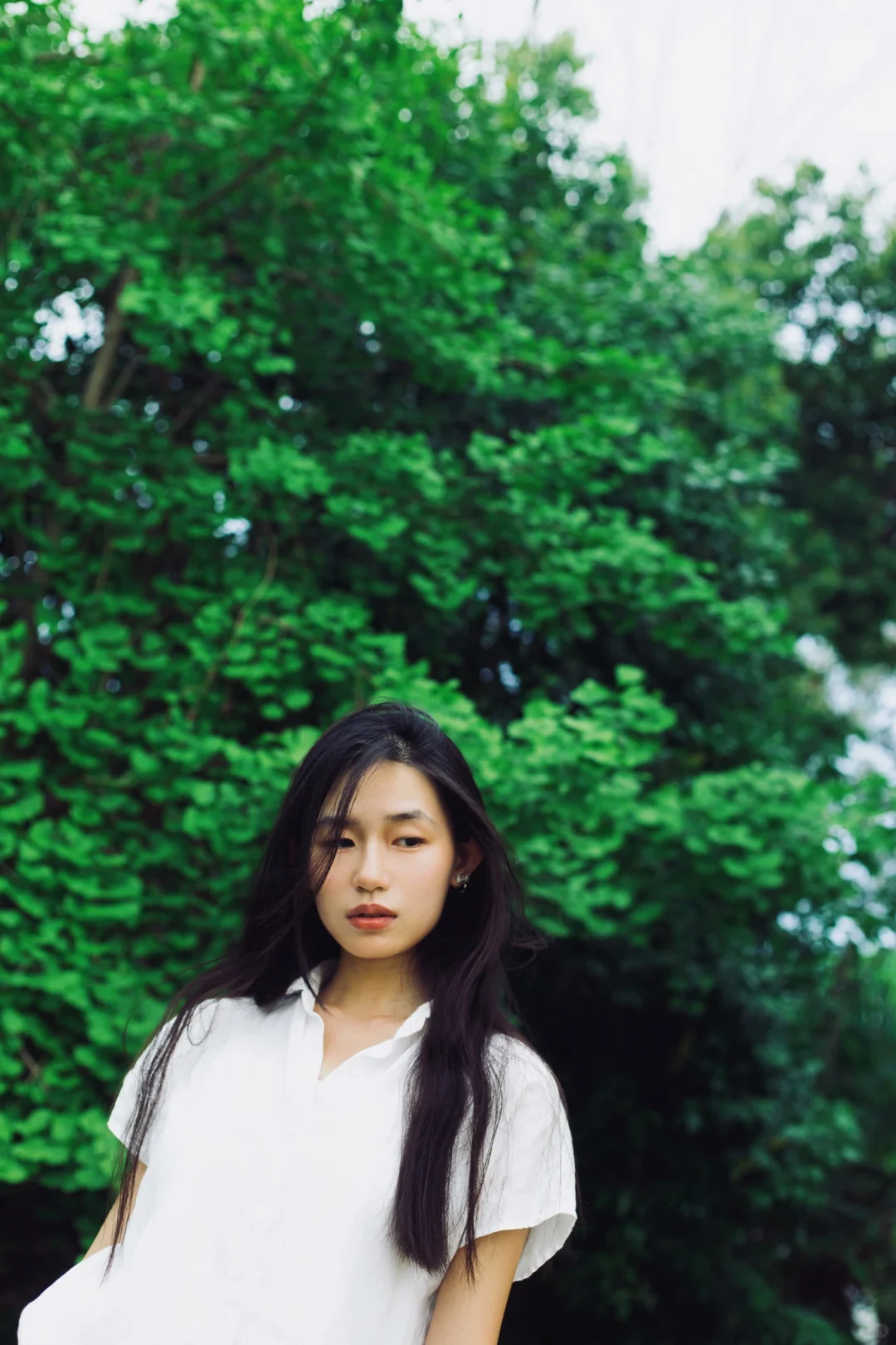 对森系的偏好始终影印在我审美潜意识里