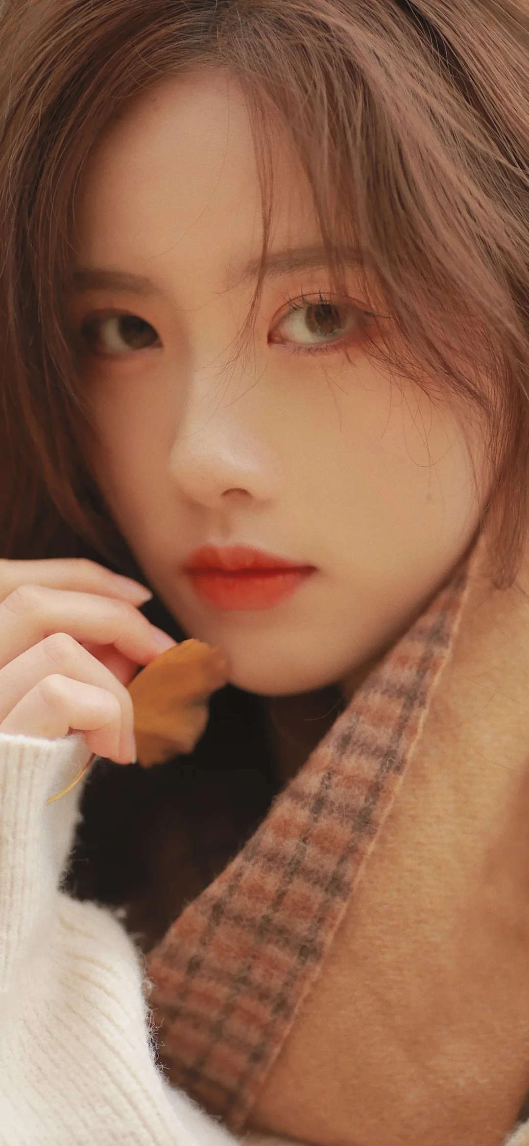 「像春天一样的女孩🌷」