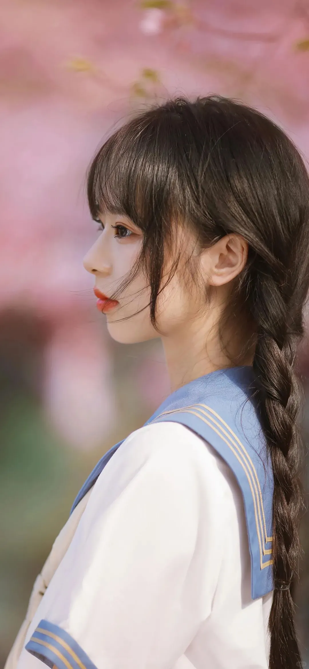 「像春天一样的女孩🌷」