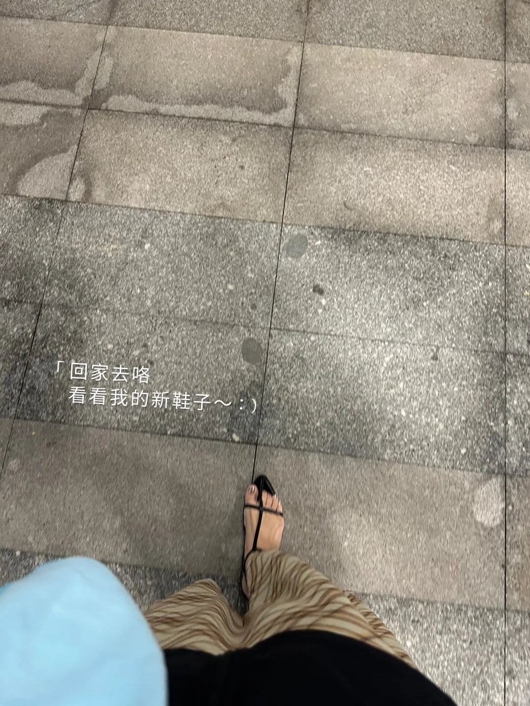 水池里面银龙鱼…而我是美人鱼🧜🏻‍♀️