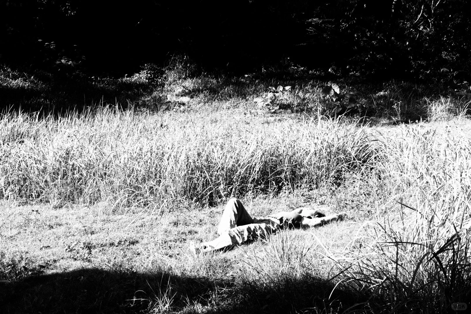 生命影像｜“可能我是大自然的孩子”