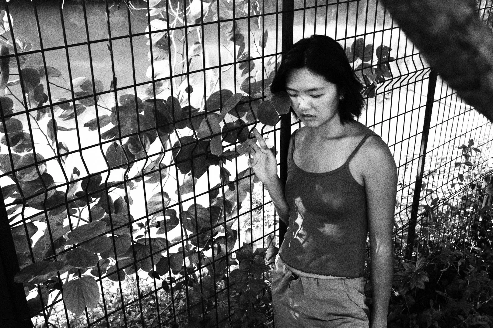 生命影像｜“可能我是大自然的孩子”